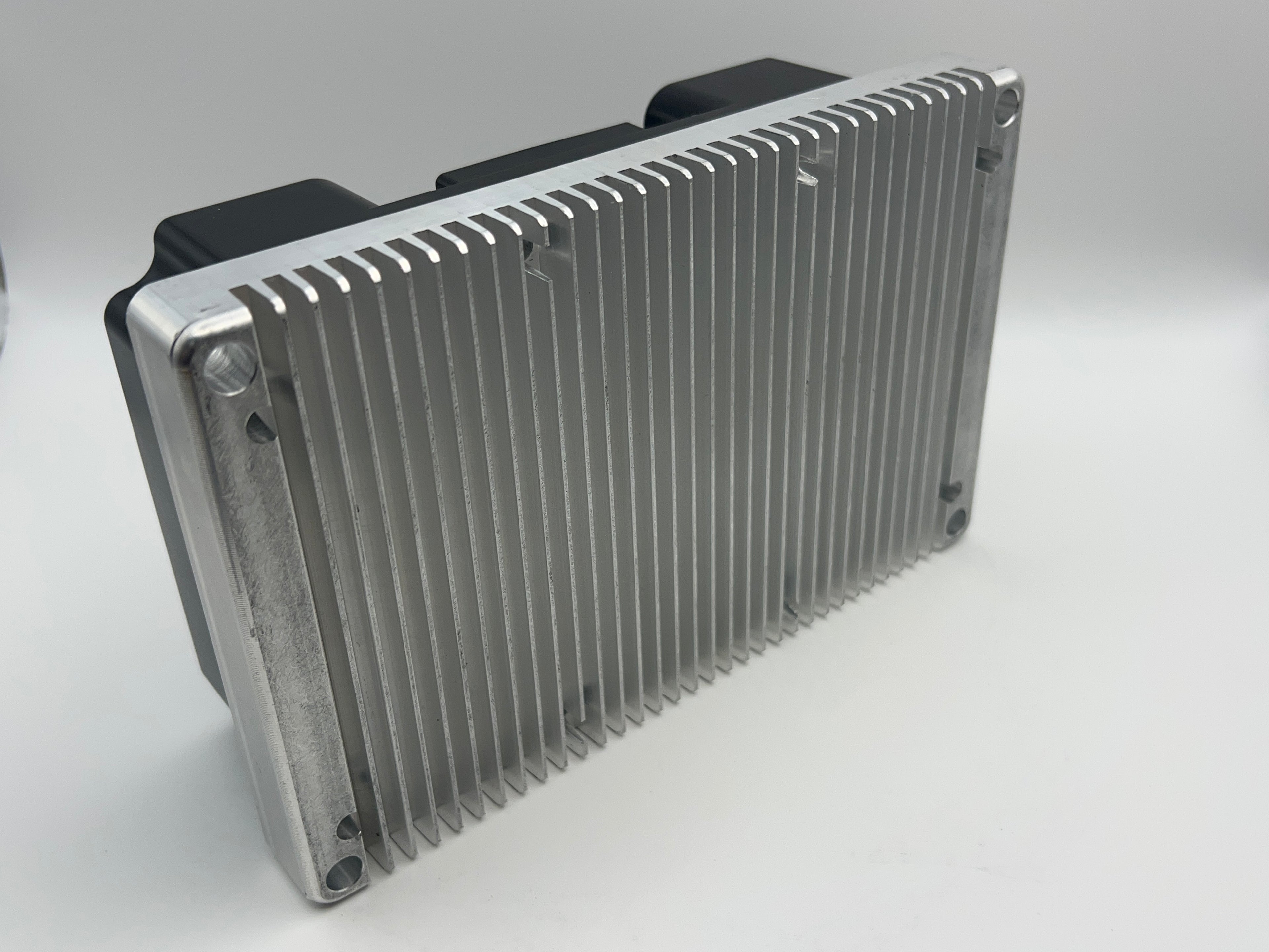 L-Rugged 88V