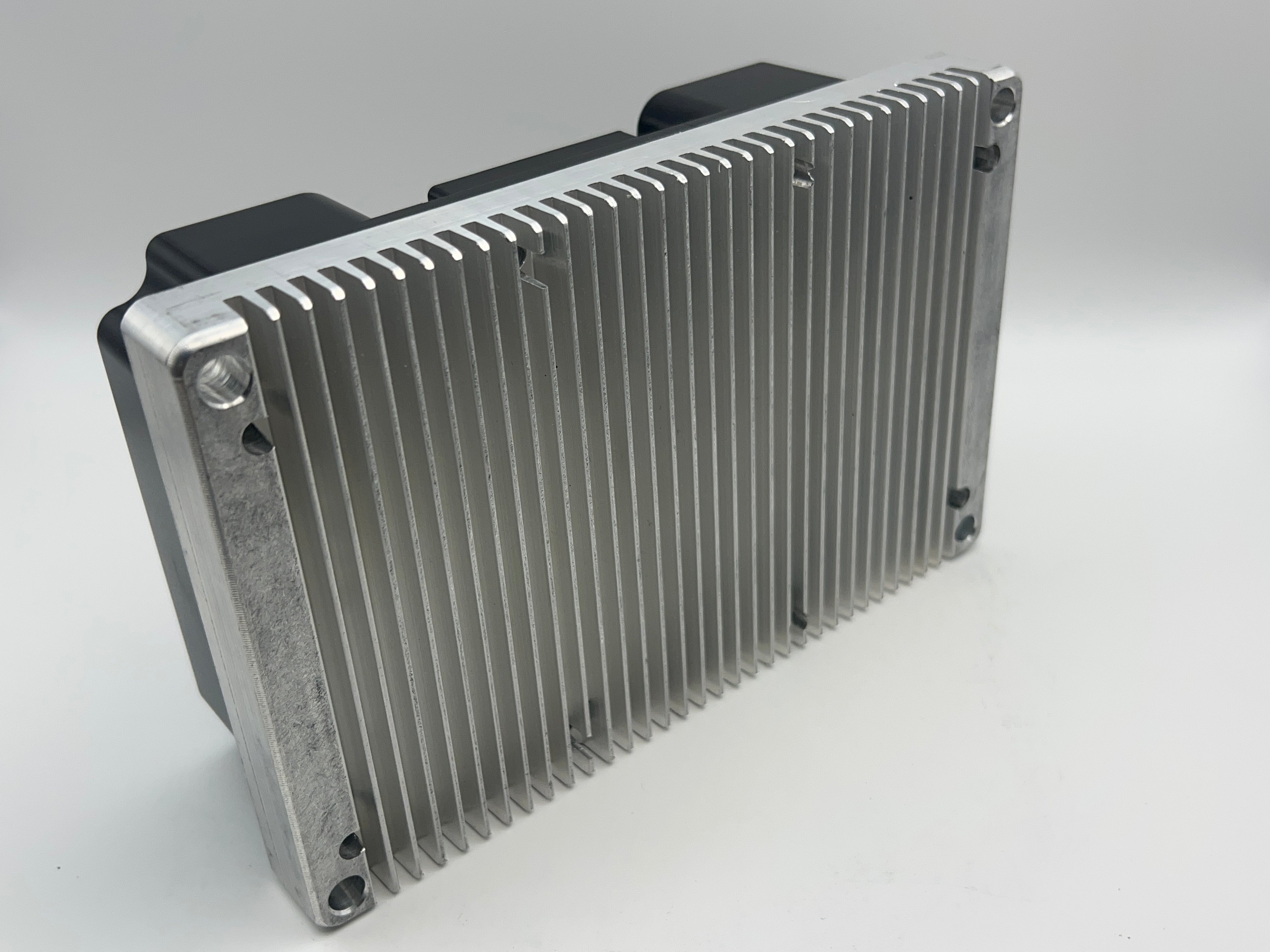 L-Rugged 117V